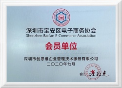 “电子商务协会会员单位”荣誉证书 